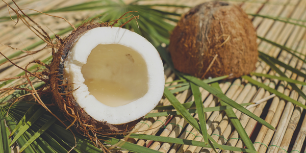 Coconut Aminos