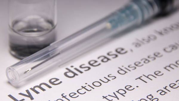 Unlocking the Mysteries of Lyme disease