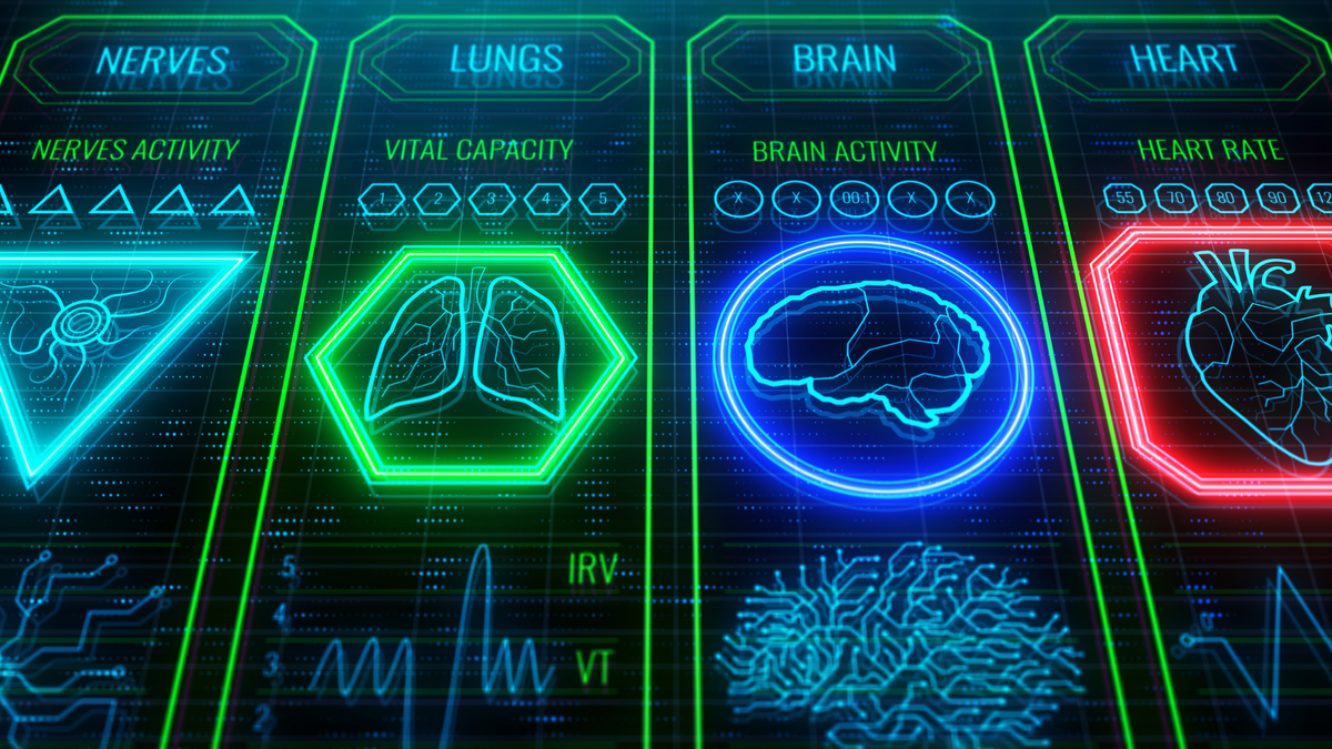 Learn About Your Body Systems