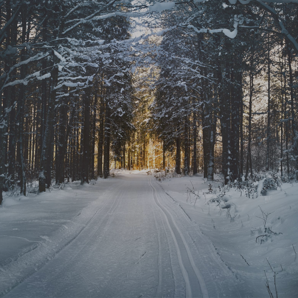 5 Ways to Stay Motivated This Winter