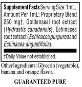 Echinacea/Golden Seal