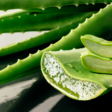 Aloe Vera-Freeze Dried