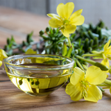 Evening Primrose Oil