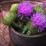 Milk Thistle Comb.