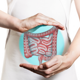 Small Intestine Detox
