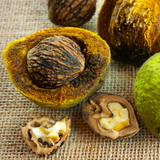 Black Walnut ATC Concentrate