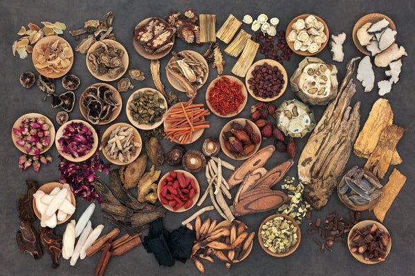The Secrets of NSP's Chinese Herbs