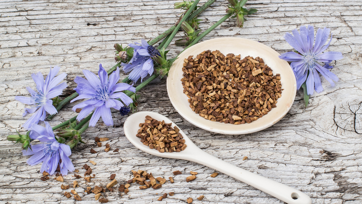 Beauty and Benefits of Chicory