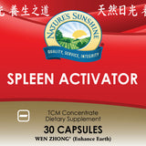 Spleen Activator TCM