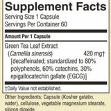 Green Tea Extract