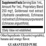 Echinacea/Golden Seal