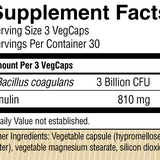 Bacillus Coagulans