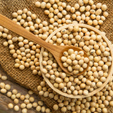 Phyto Soy®