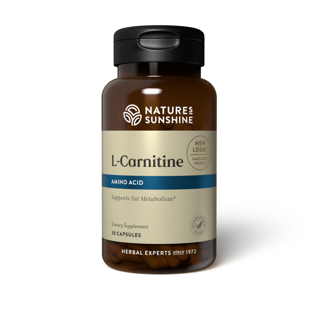 L-Carnitine