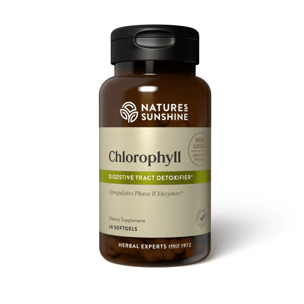 Chlorophyll