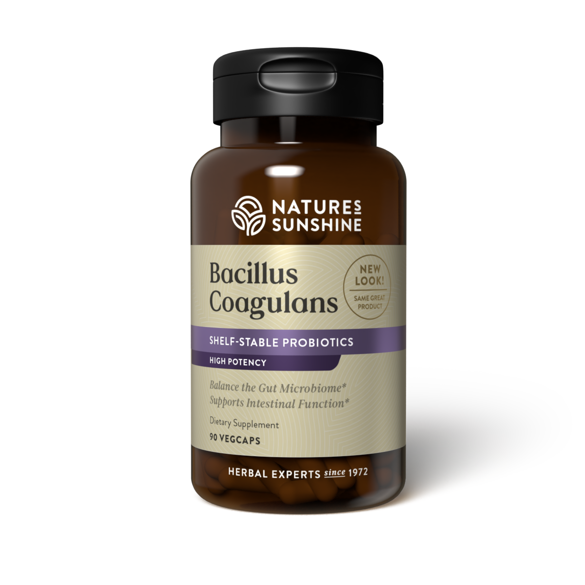 Bacillus Coagulans