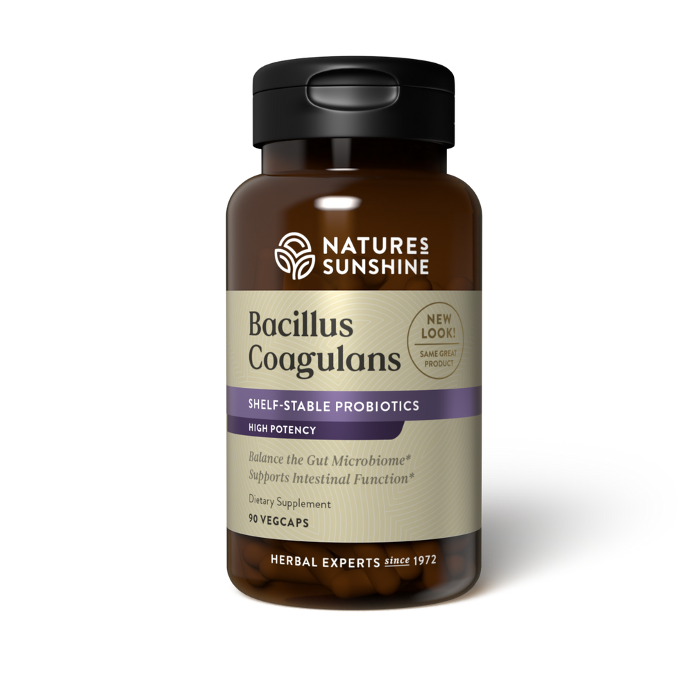Bacillus Coagulans