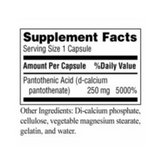 Pantothenic Acid