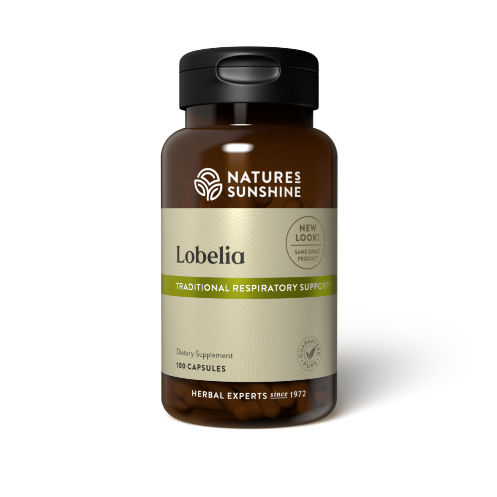 Lobelia