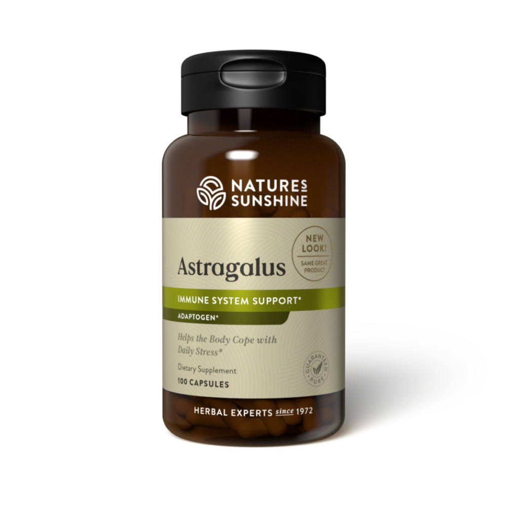 Astragalus