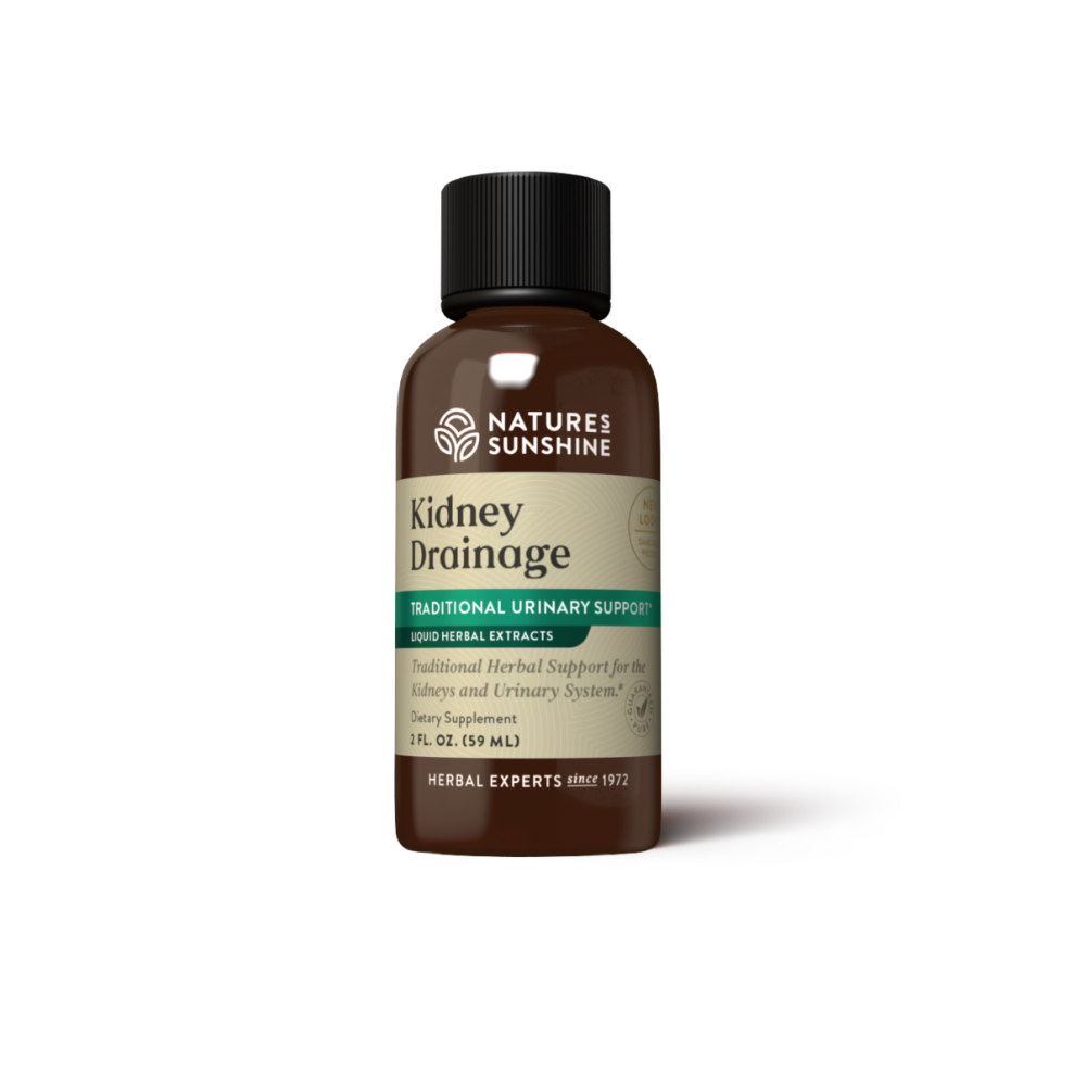 Kidney Drainage