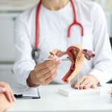 Wild Yam & Chaste Tree