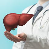 Hepatic System Pack