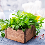 Parsley