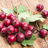 Hawthorn Berries