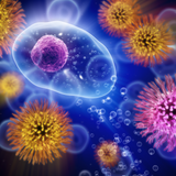 Cellular Detox