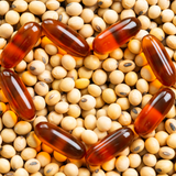 Lecithin