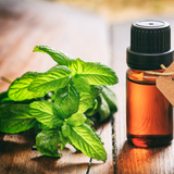 Peppermint