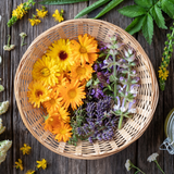 Herbal Trace Minerals