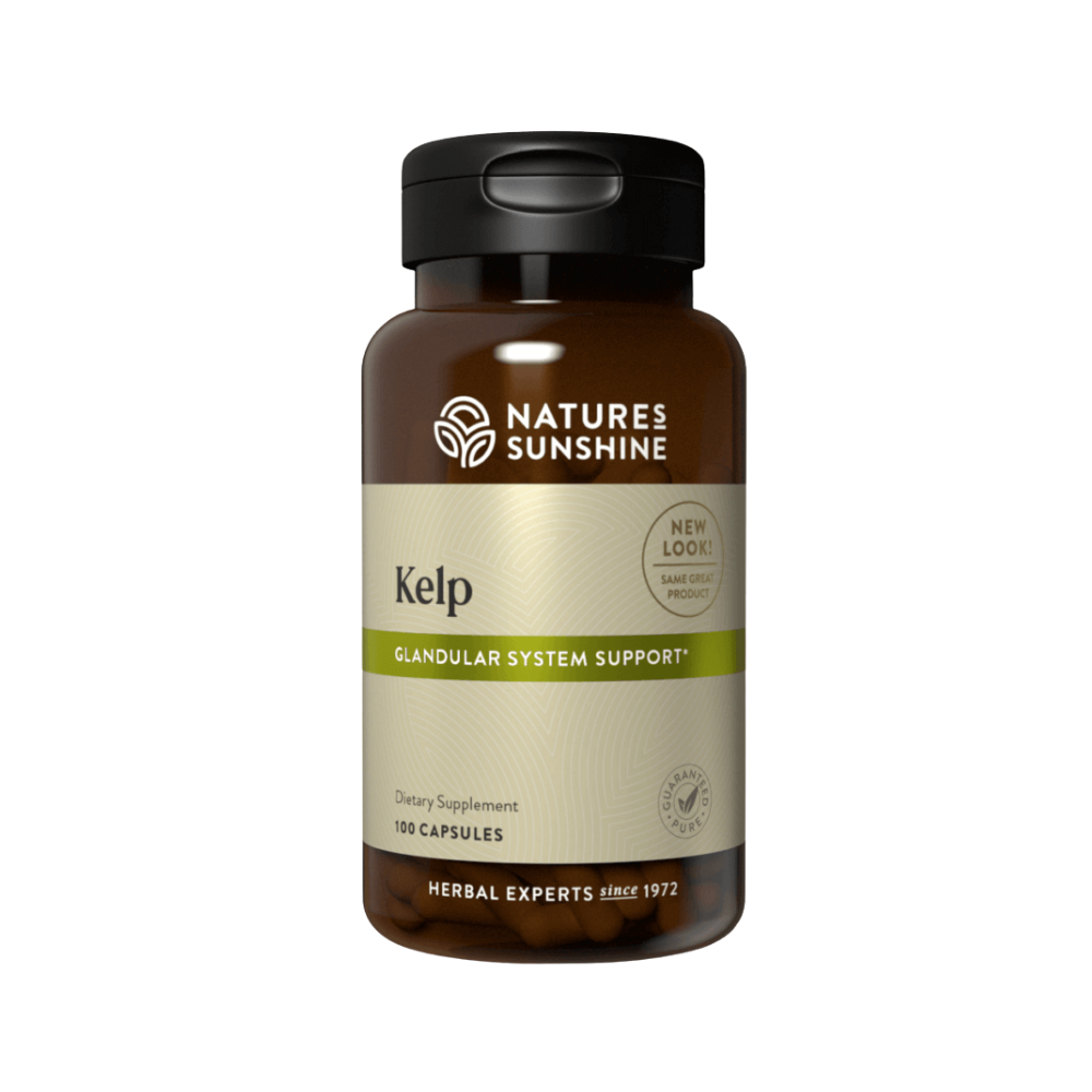 Kelp