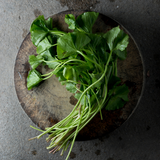 Gotu Kola
