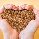 Flax Seed Oil w/Lignans