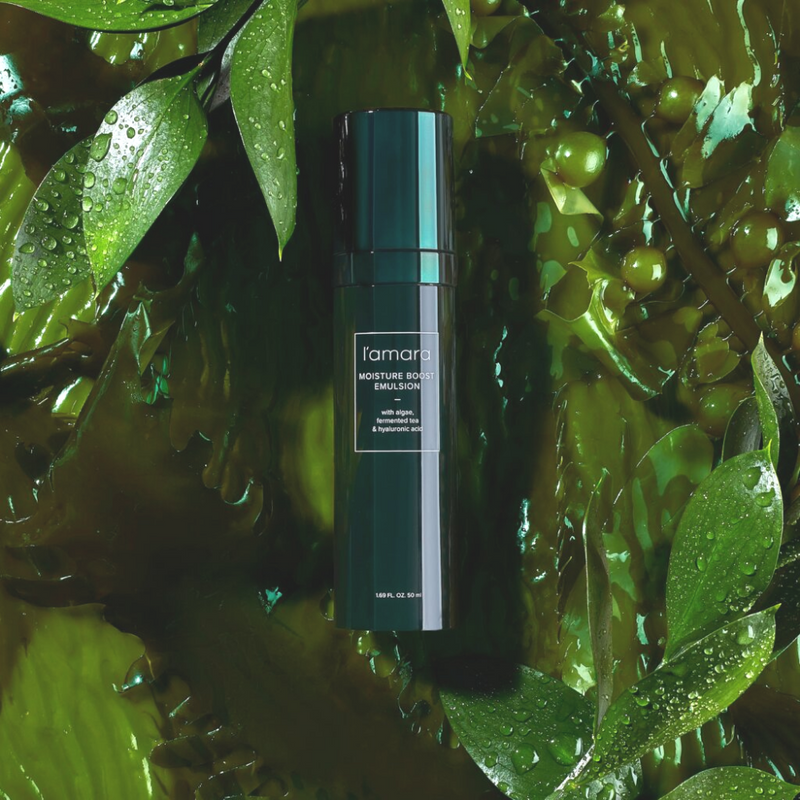 l'amara Moisture