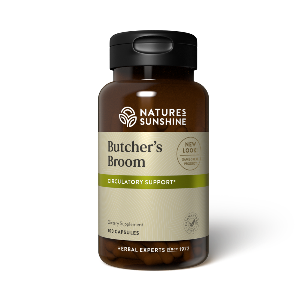 Butcher's Broom