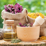 Echinacea/Golden Seal