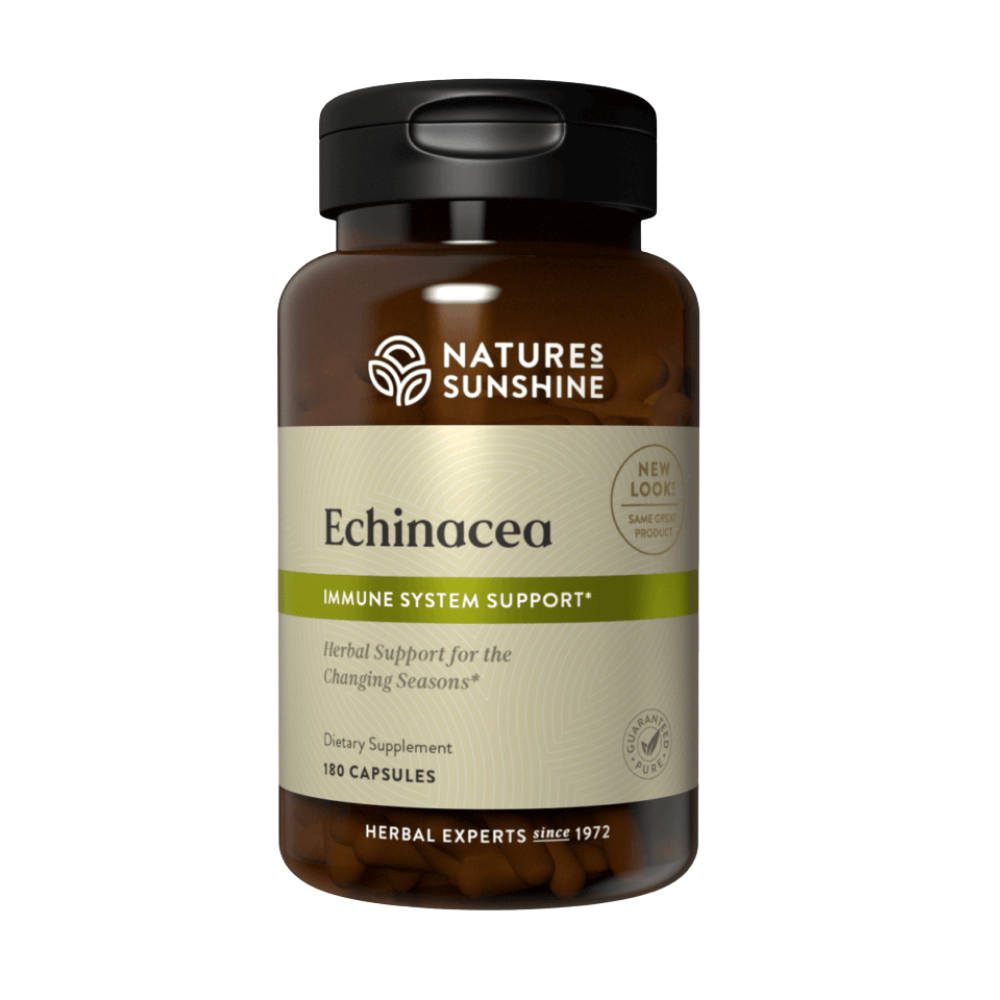 Echinacea Purpurea