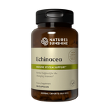 Echinacea Purpurea