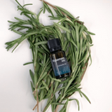 Rosemary (Wild)