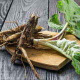 Burdock