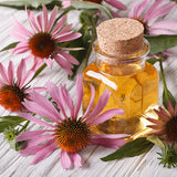 Ultimate Echinacea